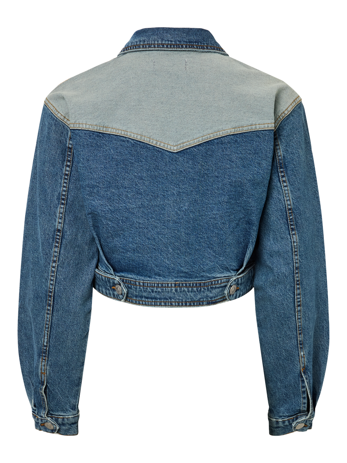 pack_shot-back