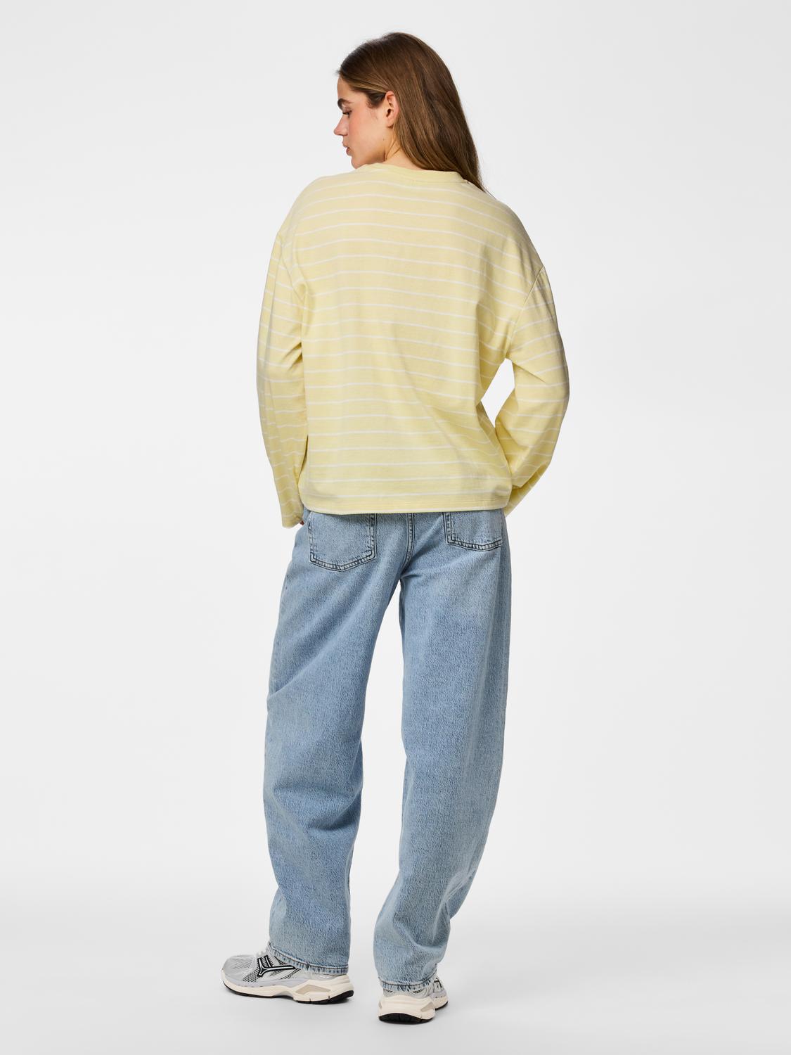 model_shot-back